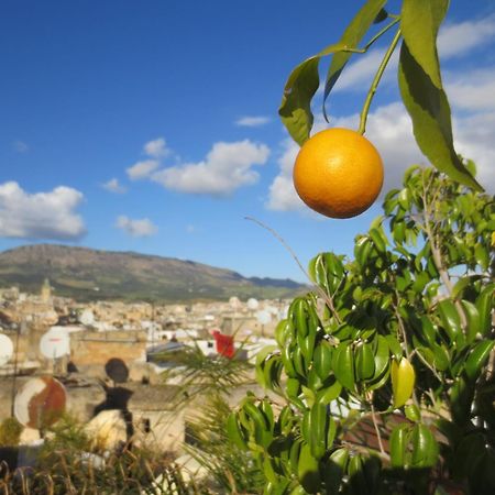 Dar Lalla Kenza Fès Exteriör bild