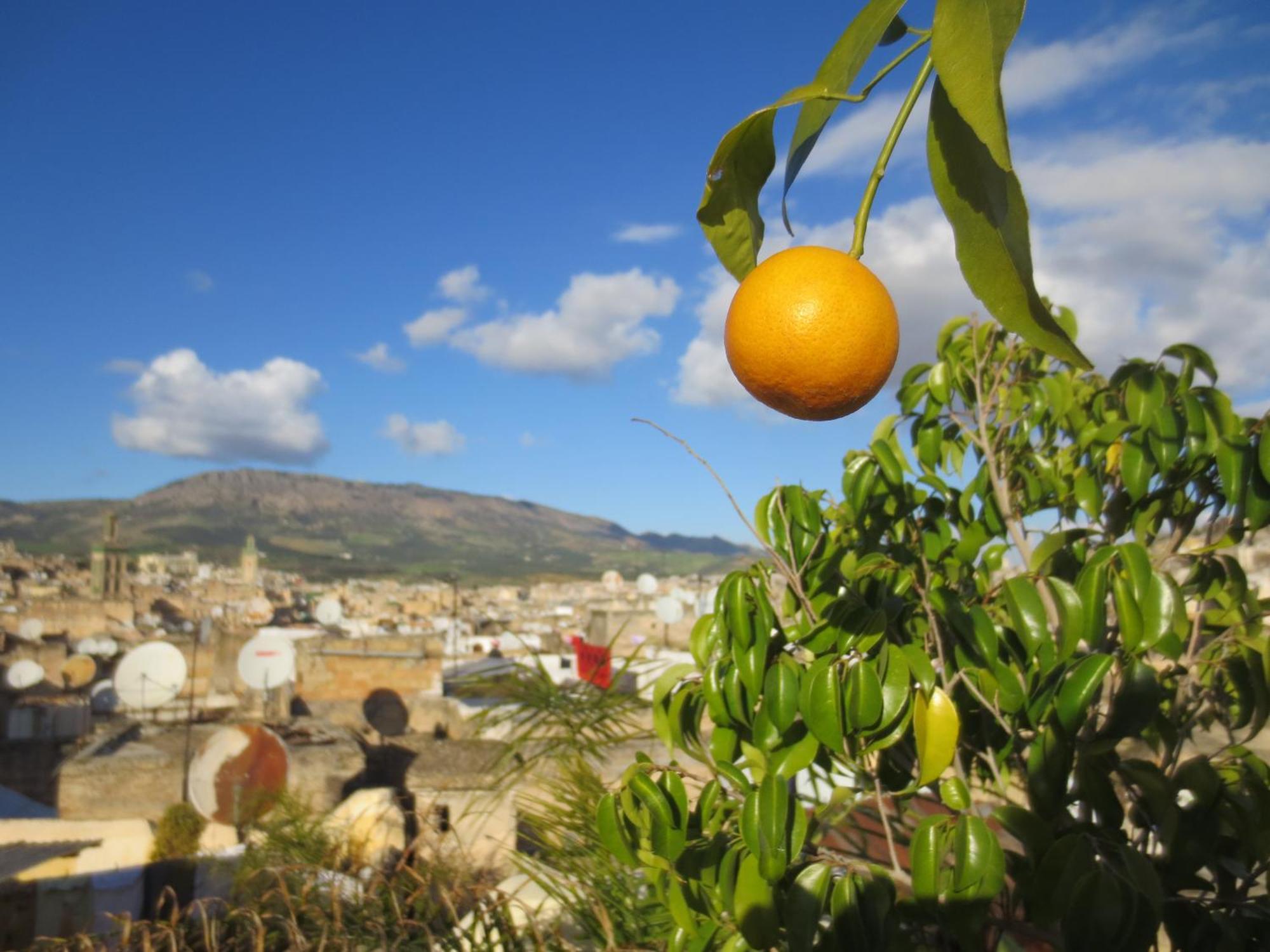Dar Lalla Kenza Fès Exteriör bild